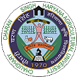 CCS University Logo