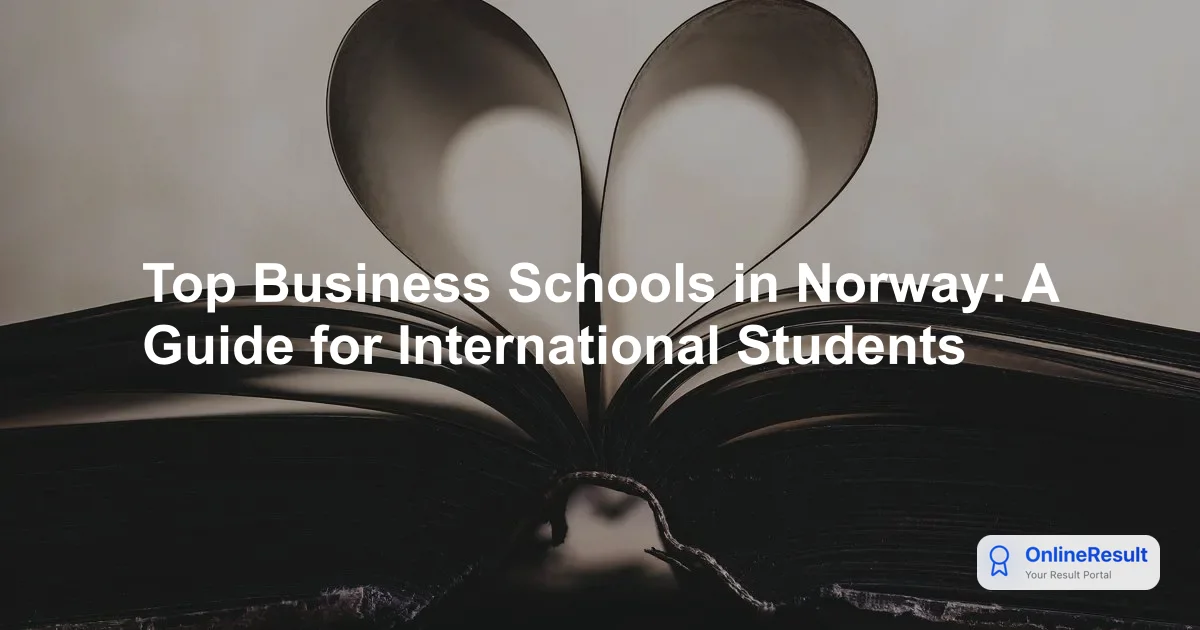 Top Business Schools in Norway: A Guide for International Students